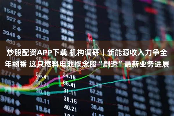 炒股配资APP下载 机构调研丨新能源收入力争全年翻番 这只燃料电池概念股“剧透”最新业务进展